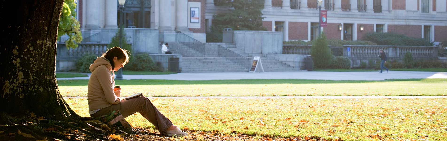 student sitting under a tree