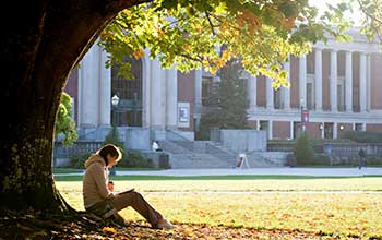 student sitting under a tree